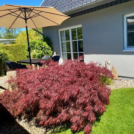 Ferienhaus Buhne 31 普雷罗 外观 照片